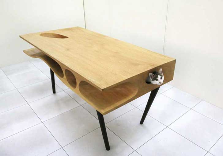 Mesa de escritório para gatos