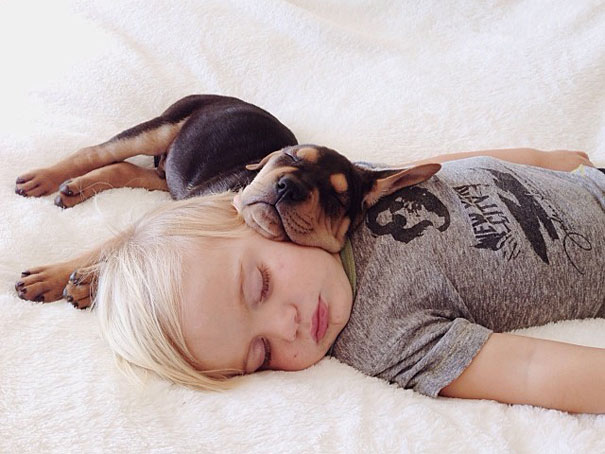 Cão Theo tira soneca com o garoto Beau e com a irmã dele, a bebê Evangeline