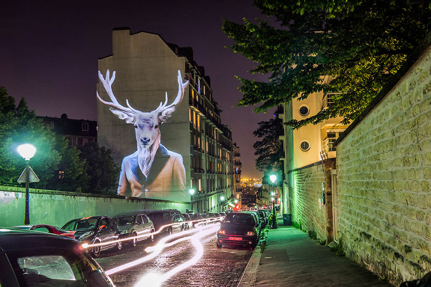 Fotógrafo oferece noite de Safari aos parisienses