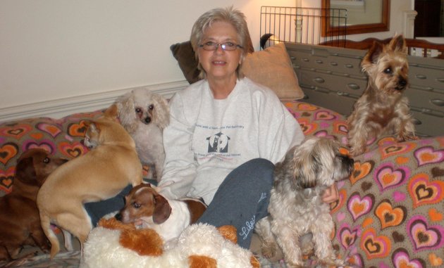mulher que adota cachorros idosos