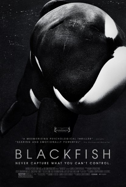 Cartas do documentário 'Blackfish' (2013) (crédito: Divulgação)