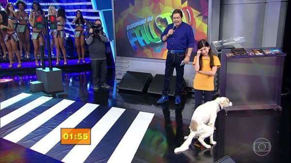 O Domingão do Faustão, da TV Globo, mostrou nesse domingo o quadro Cachorrada e a Criançada.