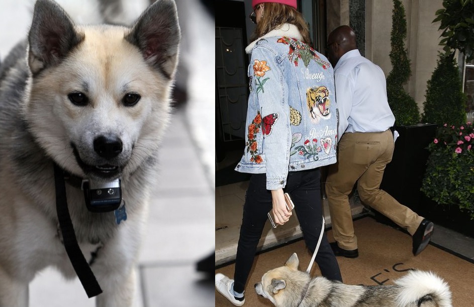 Cara e Leo em Londres