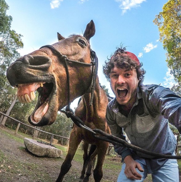 O fotógrafo neozelandês Allan Dixon mostra detalhes de suas viagens pelo mundo e tira muitas selfies com animais no Instagram (@daxon)