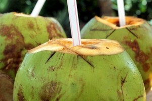 coco-coconut-water-cocktail-drink-refreshing