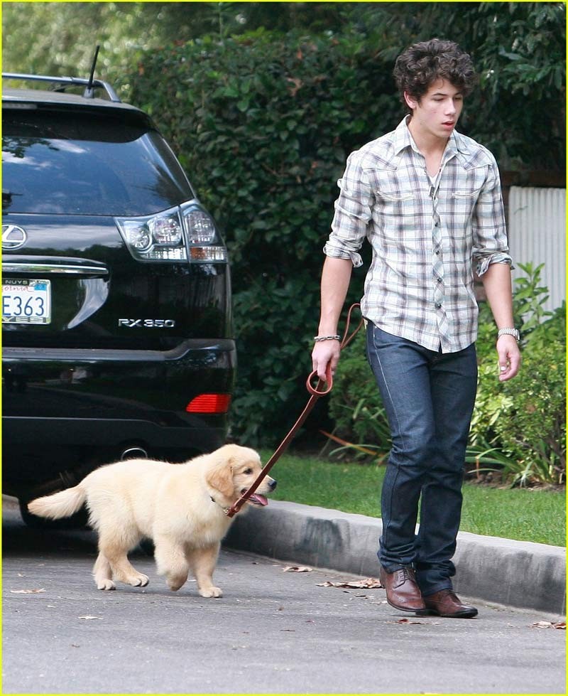 Nick Jonas passeando com o cachorro