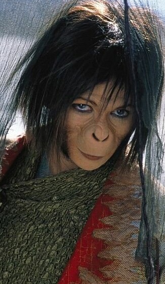 O Planeta dos Macacos (2001) - Na primeira colaboração de Helena com Tim Burton, ela vive uma chimpanzé ativista, Ari