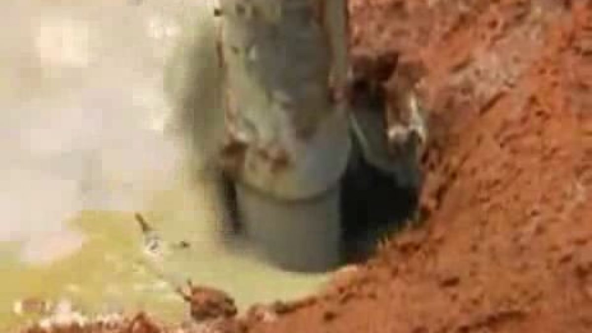 Experiência revela labirinto gigante feito por formigas – Vírgula, image size:1200x675