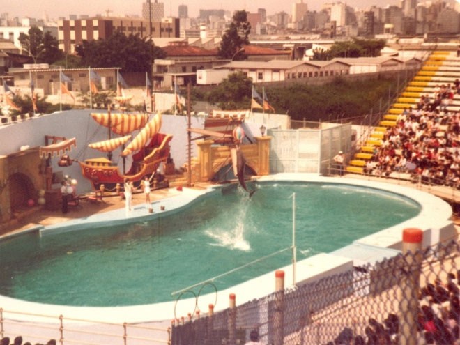 Piscina montada provisoriamente para mostrar as habilidades de Flipper, um golfinho vindo dos EUA. 