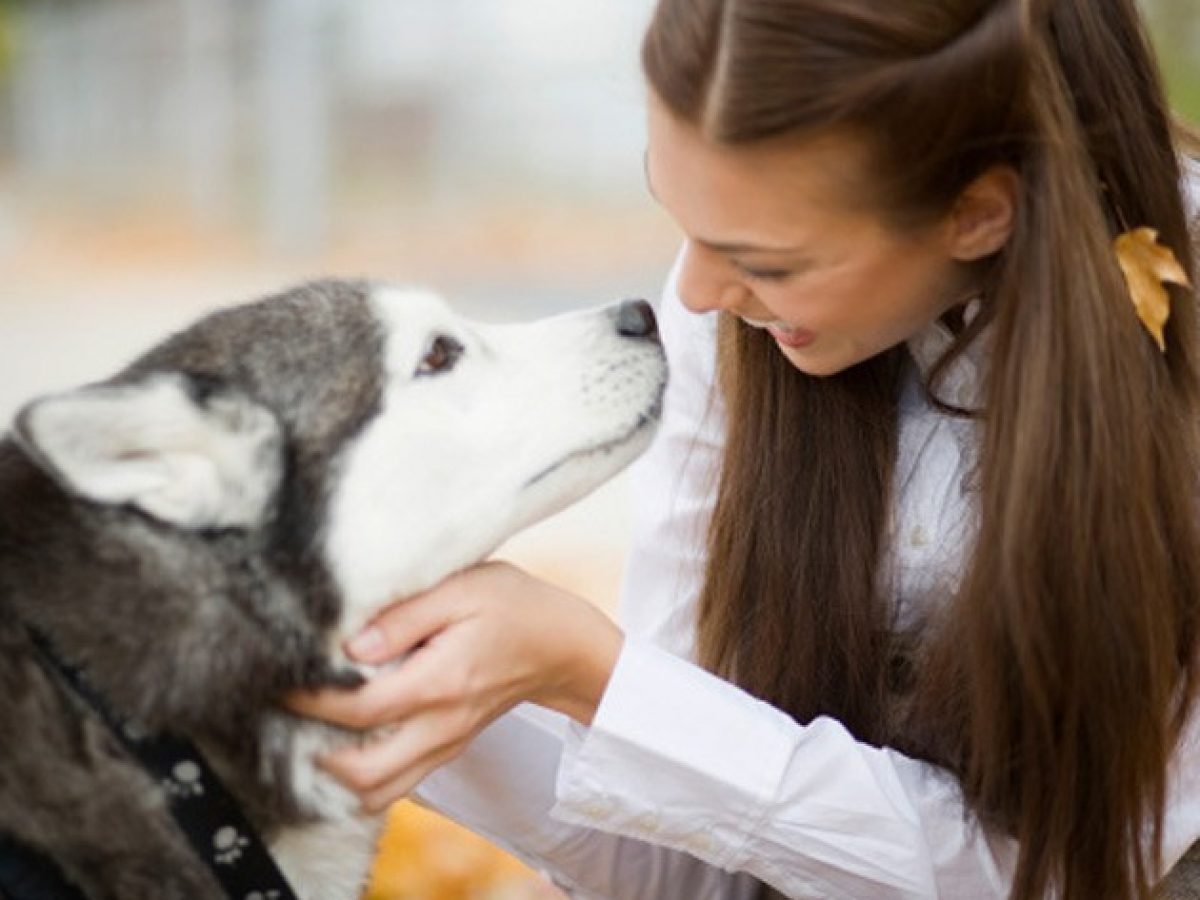 Sexode pessoas com animais