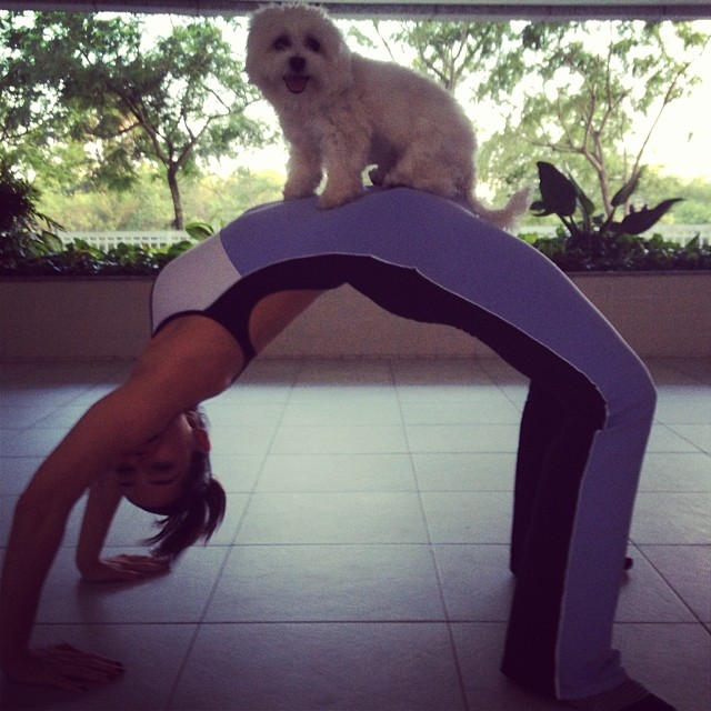 Momento fofura: Fernanda Machado não desgruda da cachorra nem para malhar