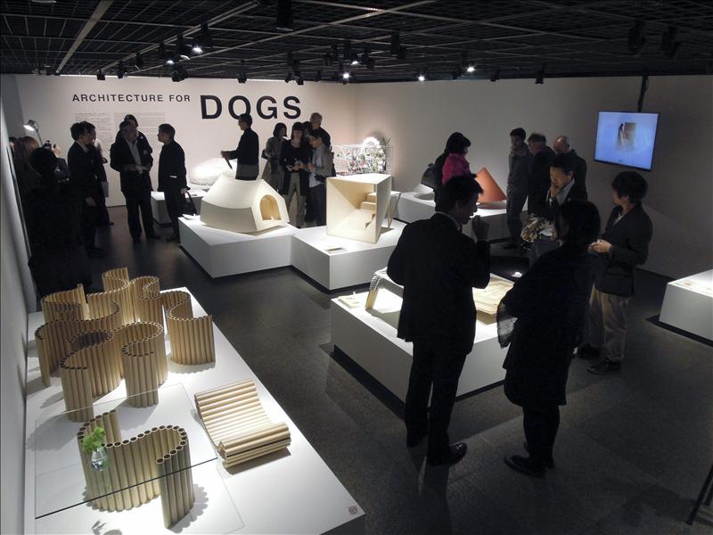 Arquitetos renomados exibem projetos de casas para cachorros no Japão