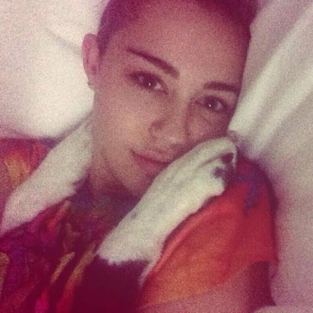 Após rumores de envolvimento com integrante do Good Charlotte, Miley Cyrus posta foto com seus cães