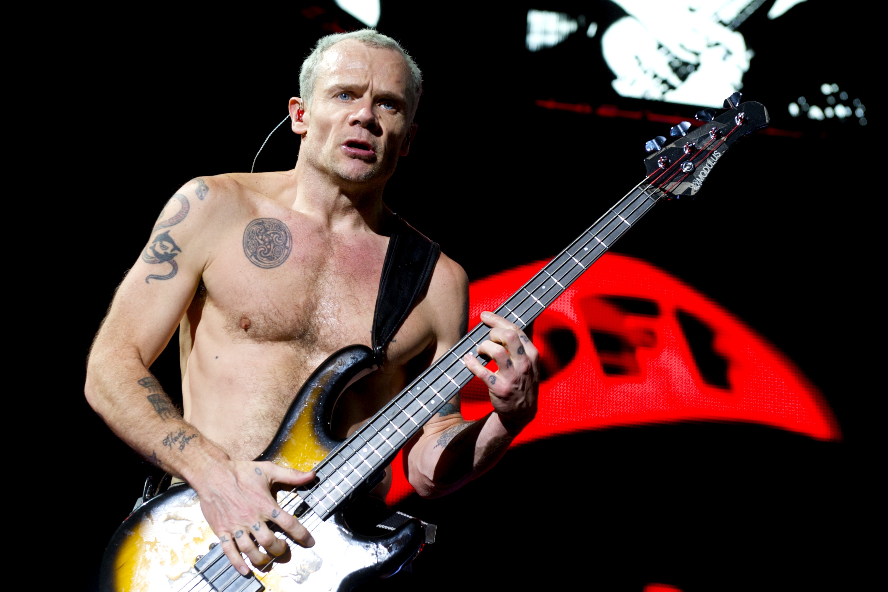 Flea, dos Red Hot Chili Peppers, anuncia autobiografia em que contará sua 'vida 'boêmia'