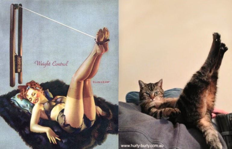 Tumblr reúne fotos de gatinhos imitando poses de pin ups