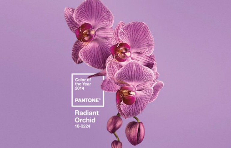 Pantone elege cor do ano de 2014: Radiant Orchid