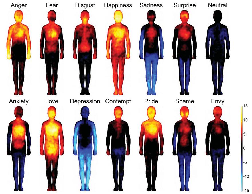 Cientistas mapeiam as emoções no corpo humano