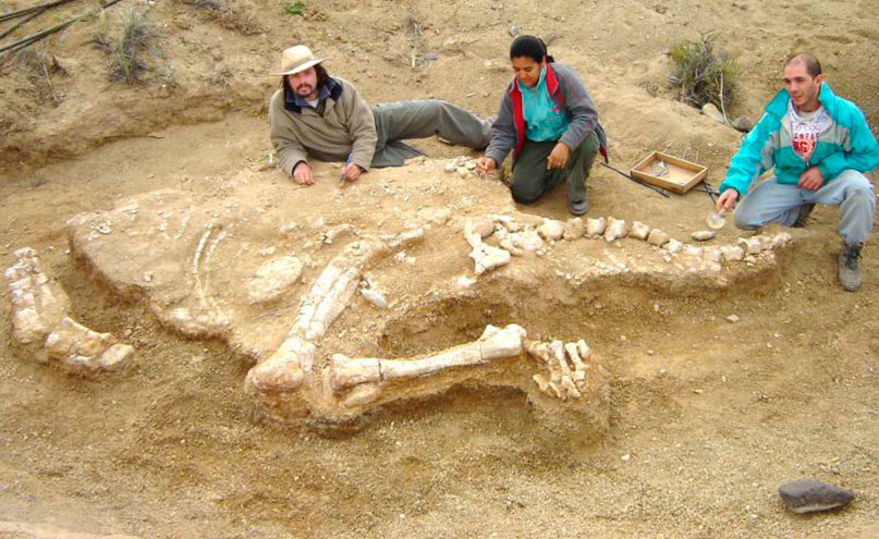 Encontrados os primeiros fósseis de dinossauros na Arábia Saudita