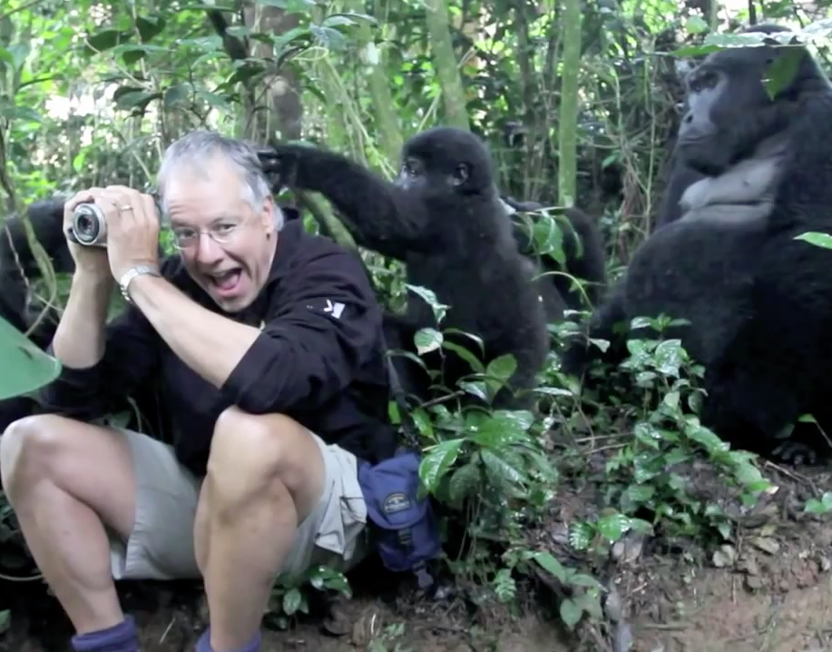 Fotógrafo visita parque em Uganda e é cercado por vários gorilas