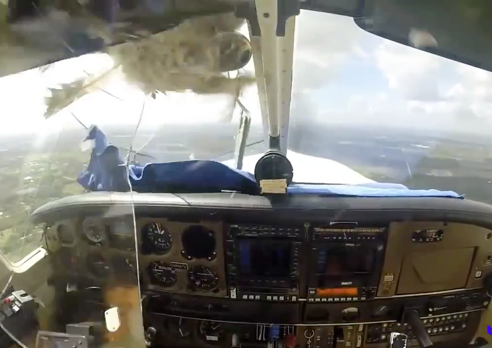 Piloto leva susto após passarinho bater no para-brisa de seu avião