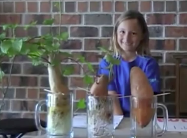 Após experimentos, menina critica a presença de transgênicos nos vegetais