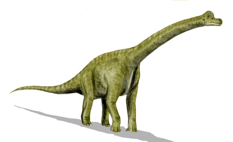 Restos do maior dinossauro descoberto até agora são encontrados na Argentina