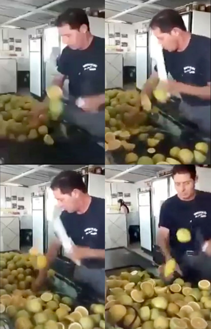 Brasileiro dá show de reflexos e corta 150 laranjas em um minuto