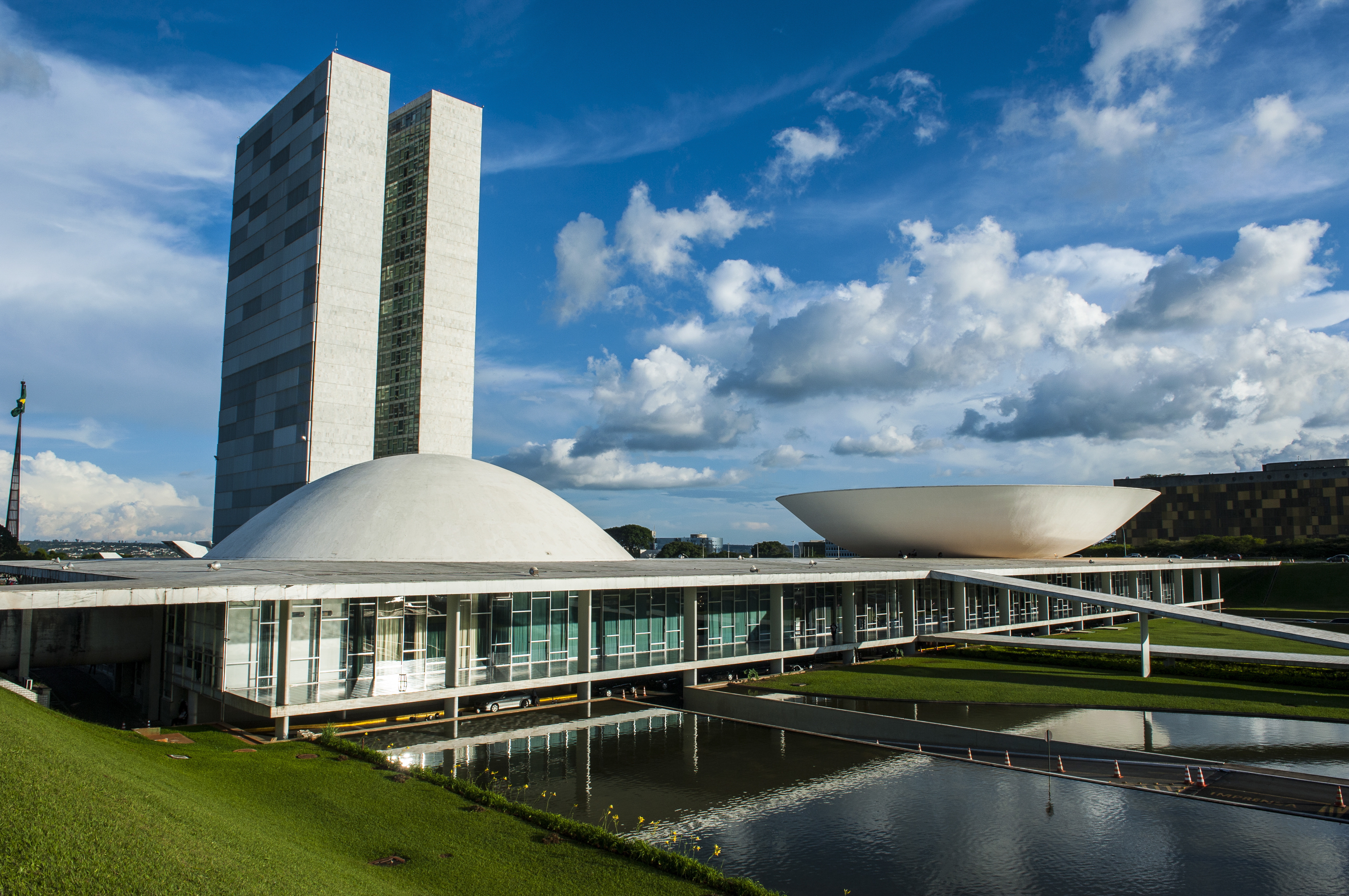 Comissão de Meio Ambiente aprova projeto que proíbe animais em pornografia