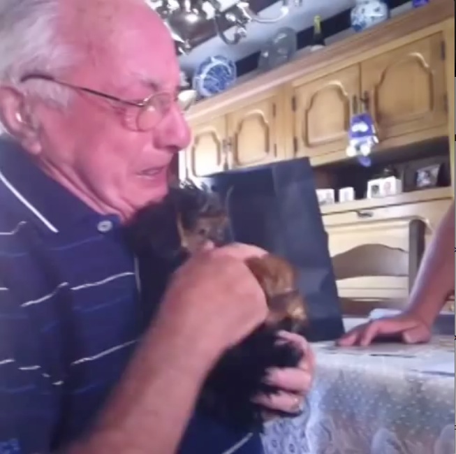 Após perder mulher, vovô chora ao ganhar um cachorro da família