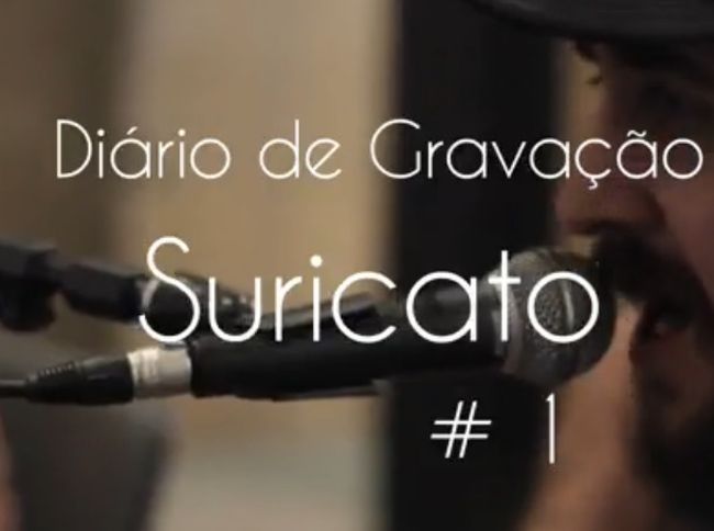 Suricato - Diário de gravação #1