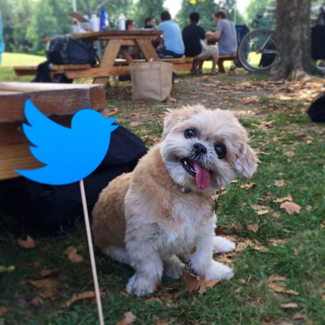 Aqui com meu amigo Twitter