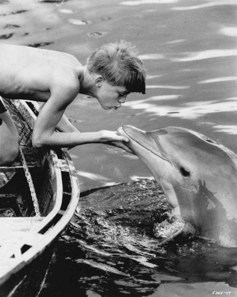 O golfinho Flipper é outro famoso personagem que atuou em filmes e em séries , e ainda deixou para a posteridade a frase 