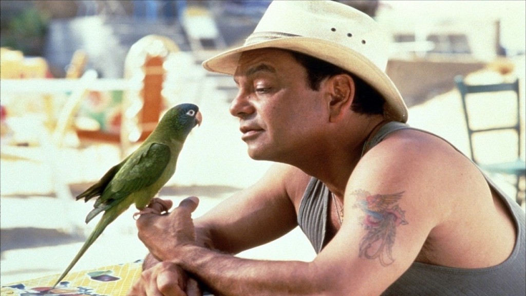 O papagaio Paulie só queria encontrar seu dono, e conta com a ajuda do solitário Misha. Um dos poucos casos que o animal-artista tem falas no filme. 