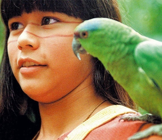 Pensa que o Brasil não tem animais no cinema? Esqueceu das aventuras da indiazinha Tainá? Este é Ludo, o papagaio amigo da protagonista.