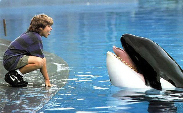 Keiko, nome original da baleia Willy, de Free Willy, fez crianças e pais saírem dos cinemas com um negocinho no olho em pelo menos quatro filmes.