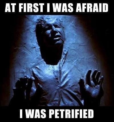Han Solo versão Gloria Gaynor