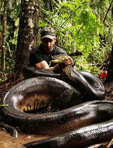 Paul Rosolie é comido por uma sucuri no programa Eaten Alive