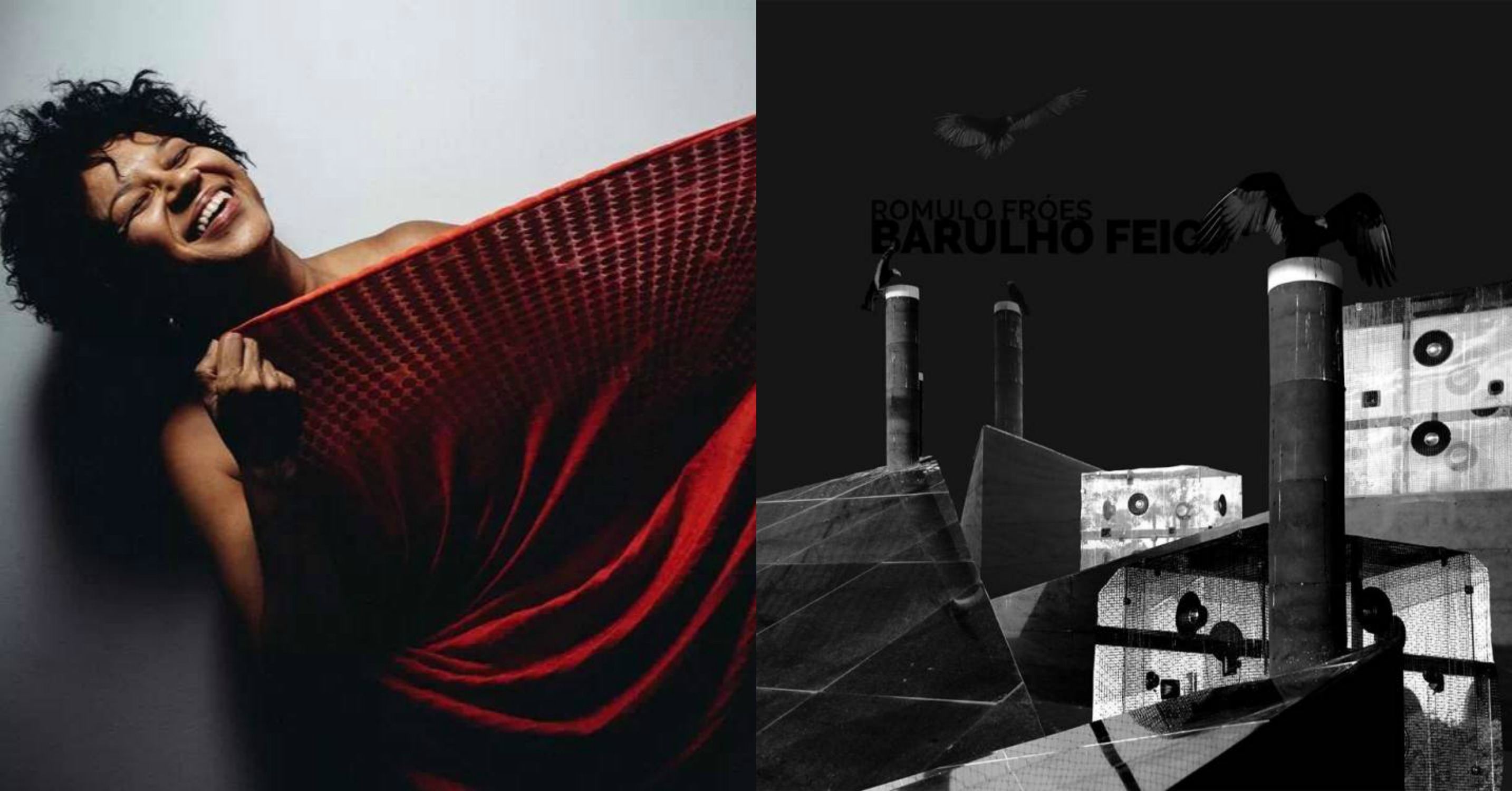 "Foi o disco Barulho Feio do Romulo Fróes. As canções são belíssimas, e a sonoridade inteira do disco é maravilhosamente coesa, original e pungente".