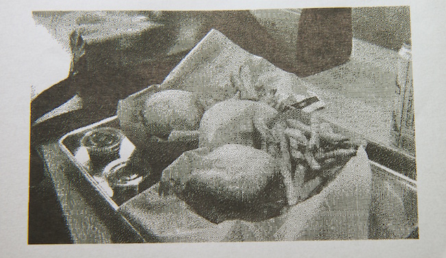 Imagem fotografada com a Printsnap. A qualidade não é da melhor, mas fica bem estilosa
