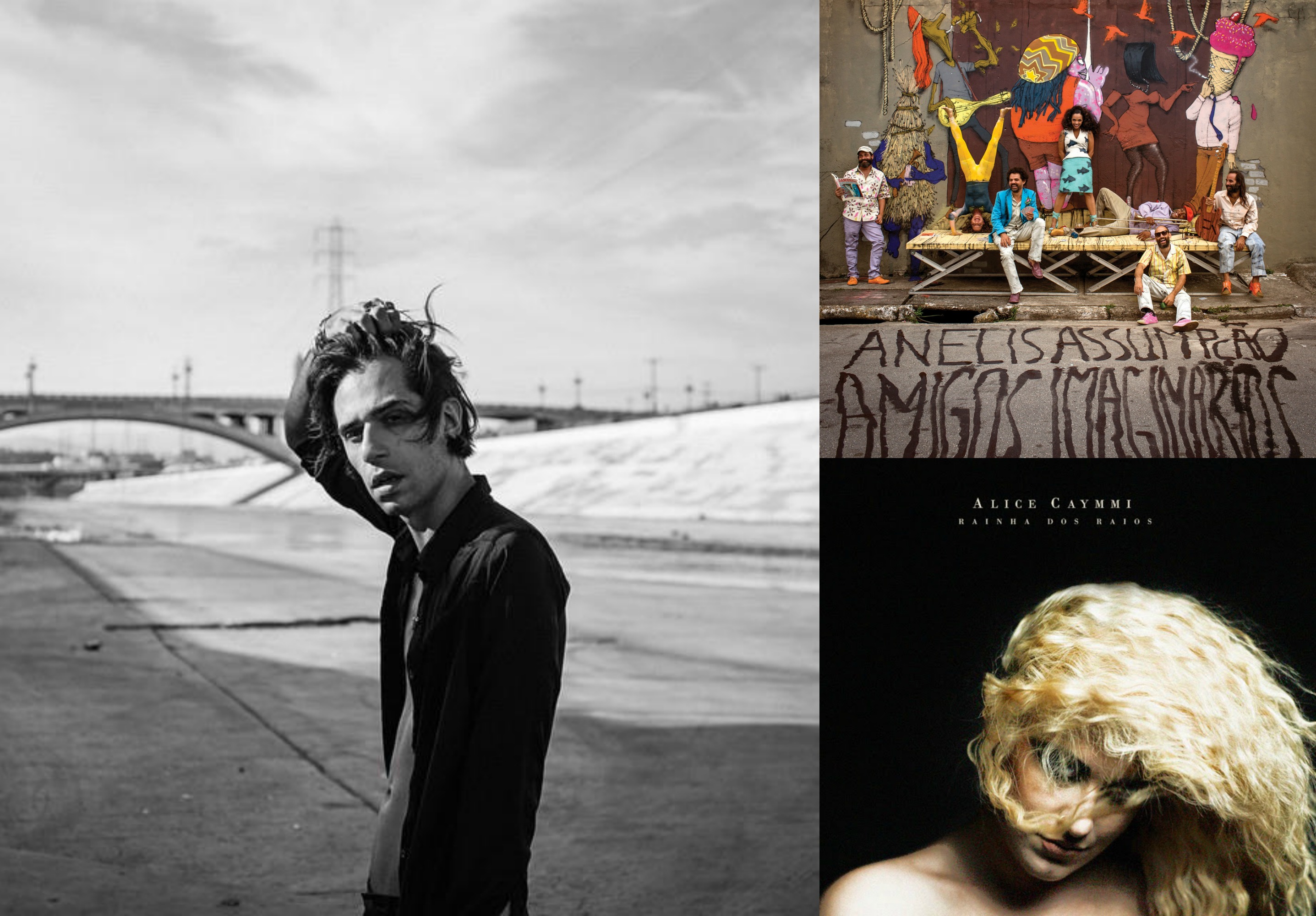 Tenho dois discos preferidos de 2014: Amigos Imaginarios, da Anelis Assumpção, que é um disco cheio de músicas lindas como 'Song to Rosa' e 'Declaração', algo de brasilidades com psicodelismos e uma poesia muito particular da Anelis. E o outro foi Rainha dos Raios da Alice Caymmi. Acho um discão, original e muito, muito bem produzido pelo Diogo Strausz."