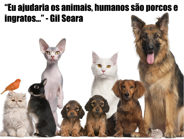 Mas, Gil, se humanos são porcos...