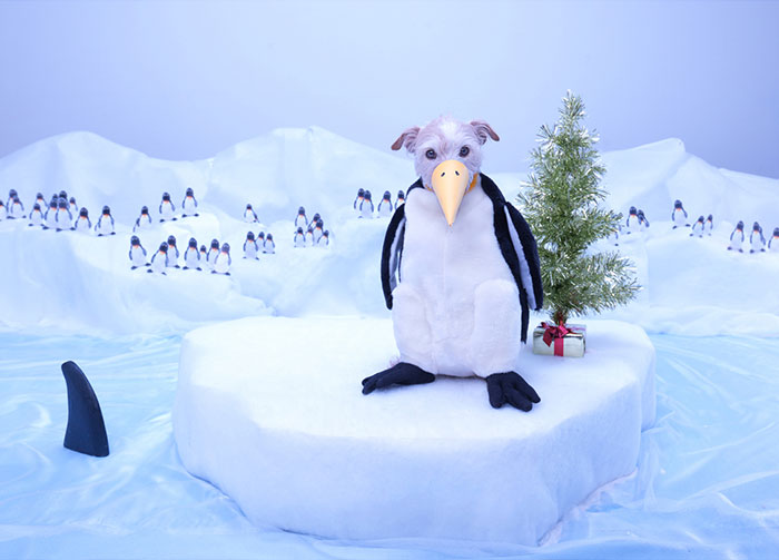 Raggle como pinguim