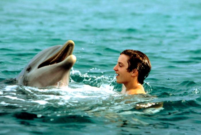 ...“Flipper” (1996), de Alan Shapiro