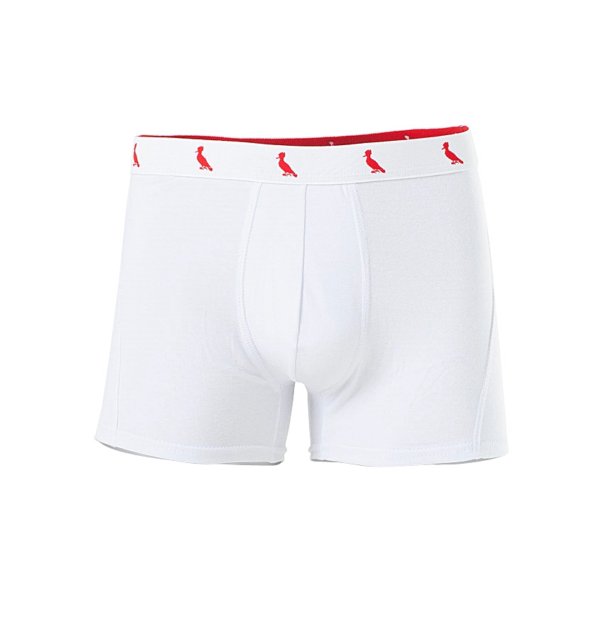 Cueca boxer de algodão; R$ 59, na Reserva (www.usereserva.com). Preço pesquisado em janeiro de 2015, sujeito a modificações