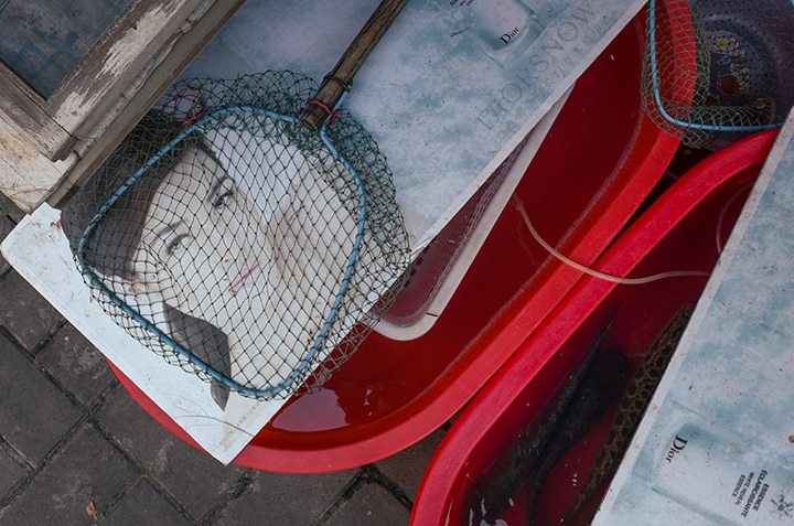 O fotógrafo chinês Tao Lin aprendeu a clicar sozinho, na volta e na ida do trabalho ou na hora de almoçar