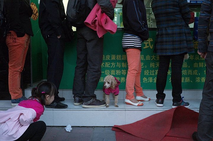 O fotógrafo chinês Tao Lin aprendeu a clicar sozinho, na volta e na ida do trabalho ou na hora de almoçar