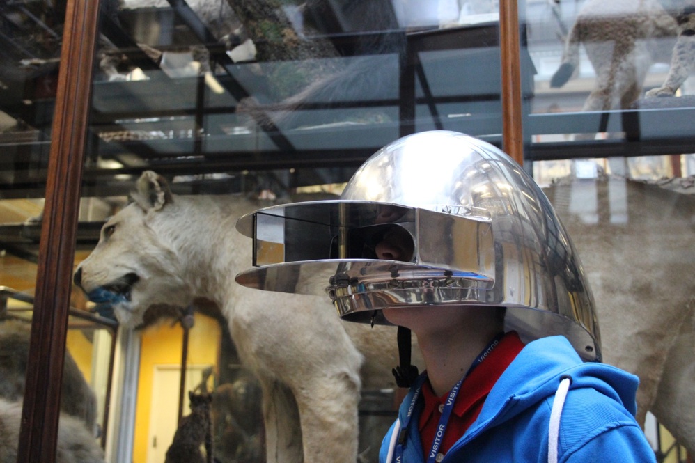 Capacete de gato