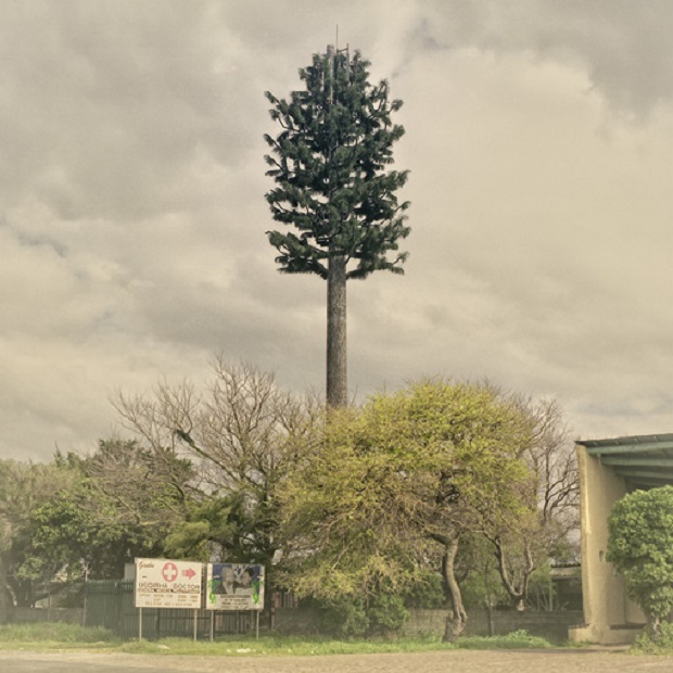 Dillon Marsh fotografou gigantescas torres de celular (mal) disfarçadas como árvores na Cidade de Cabo, na África do Sul