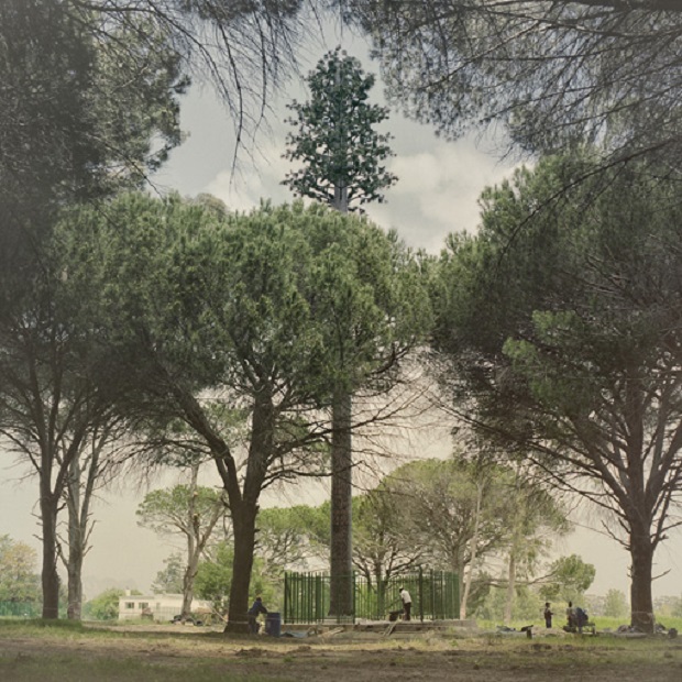 Dillon Marsh fotografou gigantescas torres de celular (mal) disfarçadas como árvores na Cidade de Cabo, na África do Sul