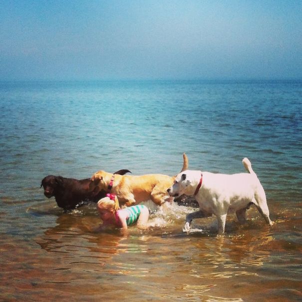 O coletivo de cães e crianças se chama matilha.